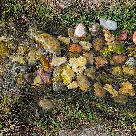 6 Person In Eskebjerg-by Traum 펜션 *